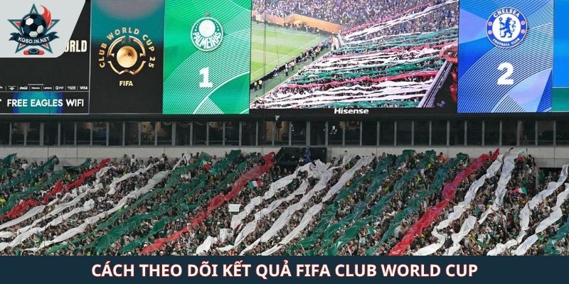 Cách theo dõi kết quả FIFA Club World Cup
